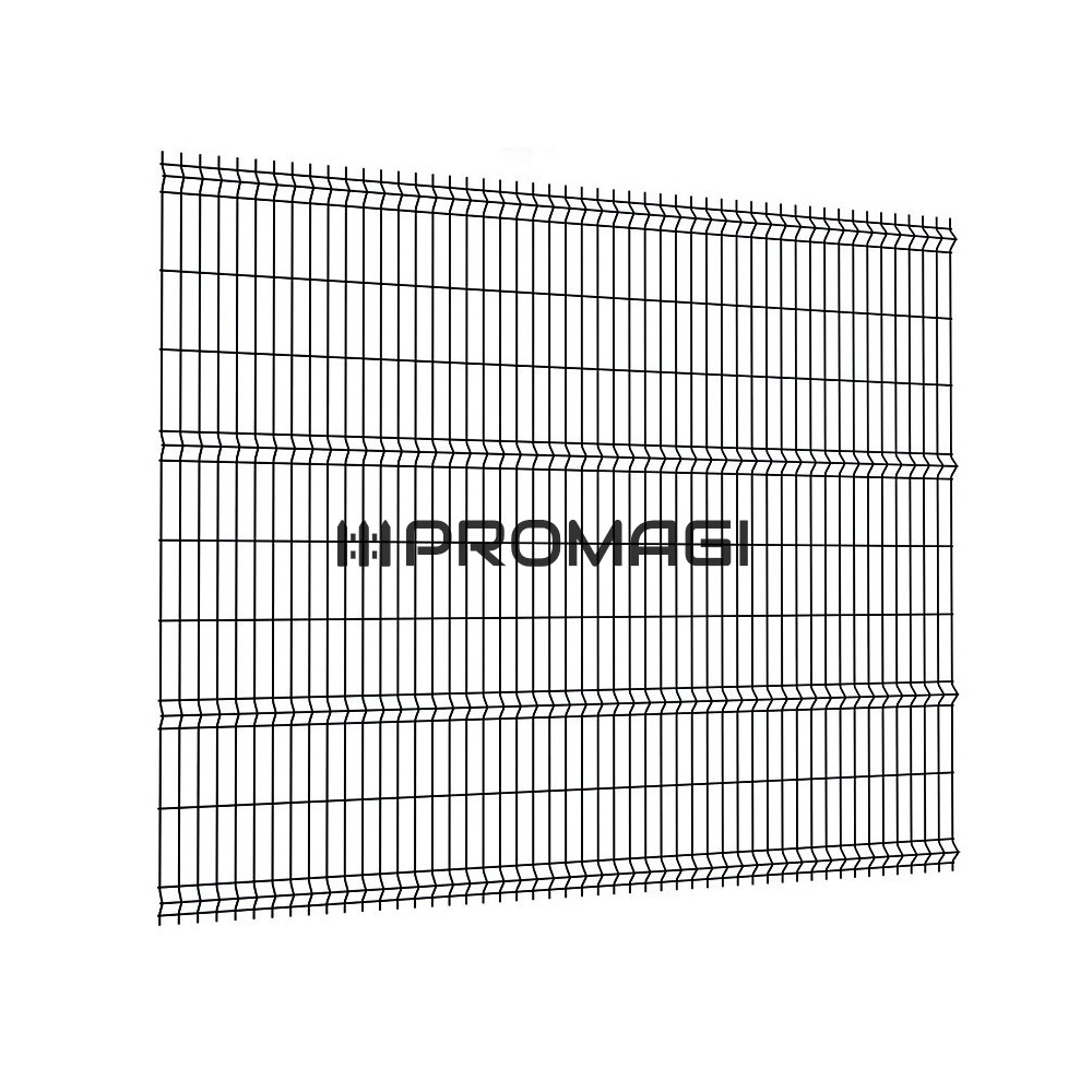 3D segmentai RAL9005 L2500mm H2030mm 4mm