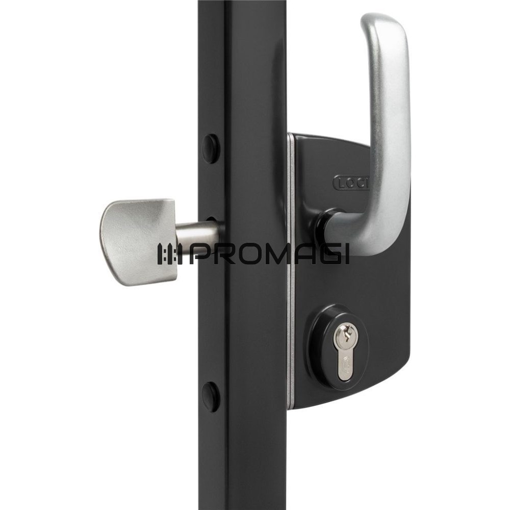 Spyna stumdomiems vartams, profiliui 60mm, RAL9005