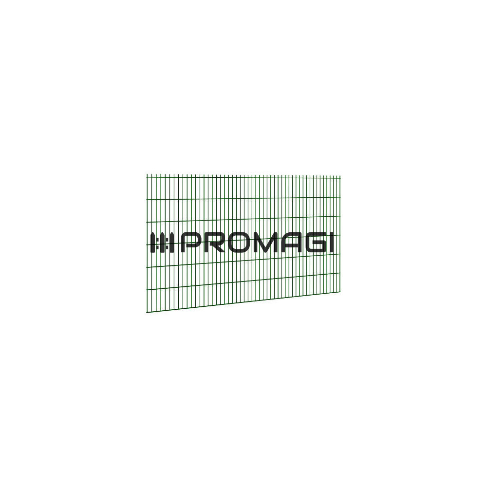2D segmentai RAL6005 L2500mm H2230mm 6/5/6mm