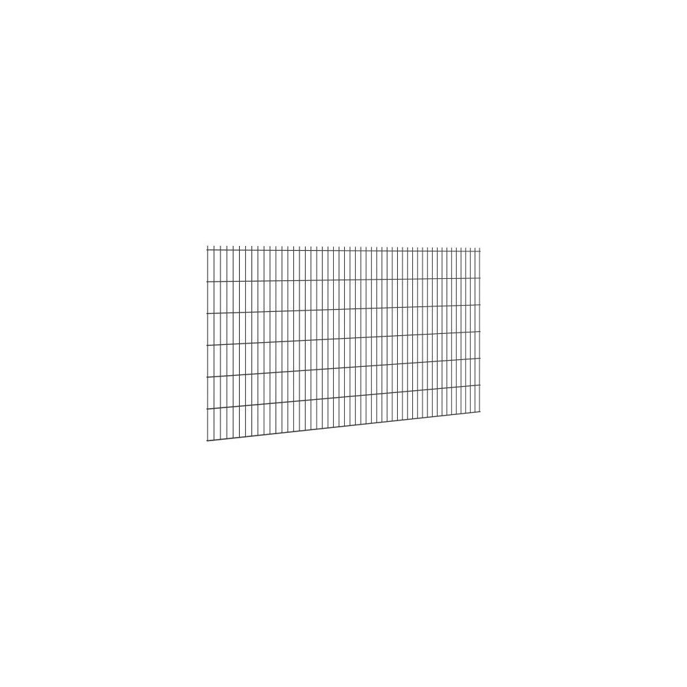 2D segmentai RAL7016 L2500mm H2030mm 6/5/6mm