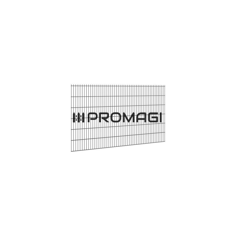2D segmentai RAL7016 L2500mm H630mm 6/5/6mm